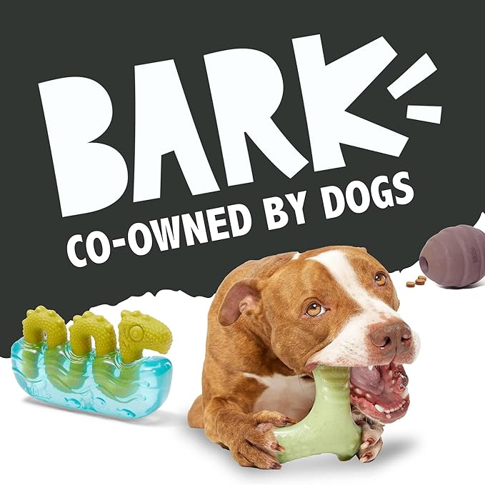 Barkbox Super Chewer Rope Dog Toy for Aggressive Chewers with Reinforced Strap (Tailspin - Large)
