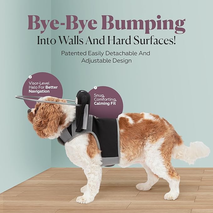 Muffin’s Halo® – The Original Blind Dog Halo | Harness & Bumper Collar Accessory for Safe Navigation & Confidence – Black, Size 5