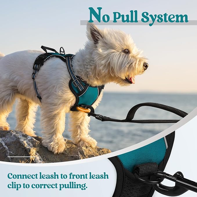 rabbitgoo Dog Harness No Pull with 2 Leash Clips, Adjustable Soft Padded, Reflective Oxford No Choke Pet Vest with Easy Control Handle for Puppy, Blue Coral, XS