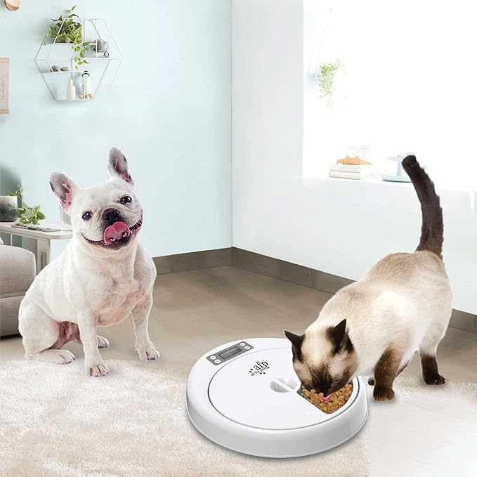 ALL FOR PAWS Lifestyle 5-Meal Automatic Pet Feeders, 7.62 kg