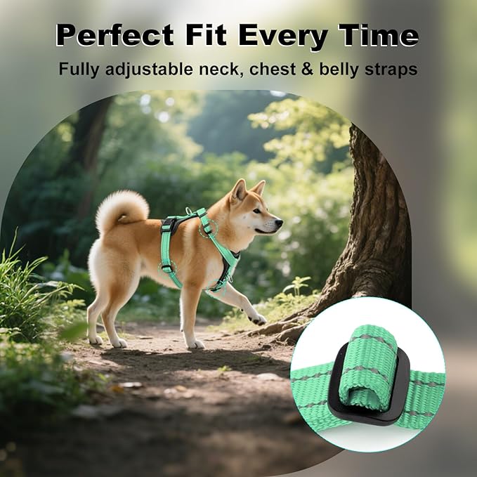 Plutus Pet Adjustable No Pull Dog Harness with Leather Accents, Heavy Duty Reflective Nylon Vest for Training, Hiking, Easy Walk Harness for Small, Medium, Large Dogs (Teal, S)