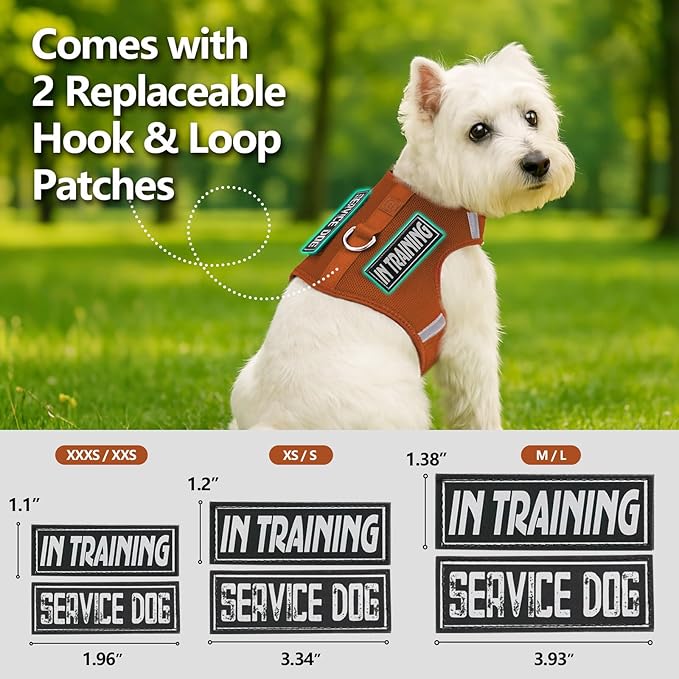 Dog Harness for Puppy – Adjustable Reflective Easy Put On Soft Mesh Vest for Small Dogs with 2 Patches (Carmel Brown,L)