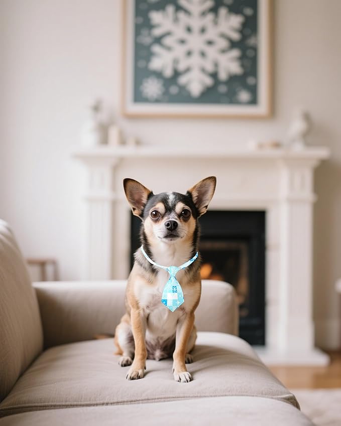 PET SHOW 10 Pack Winter Small Dog Ties Neckties for Doggies Cats Adjustable Neck Ties Girl Boy Pets Snowflake Costumes Puppy Grooming Accessories Holiday Party Gift Favor