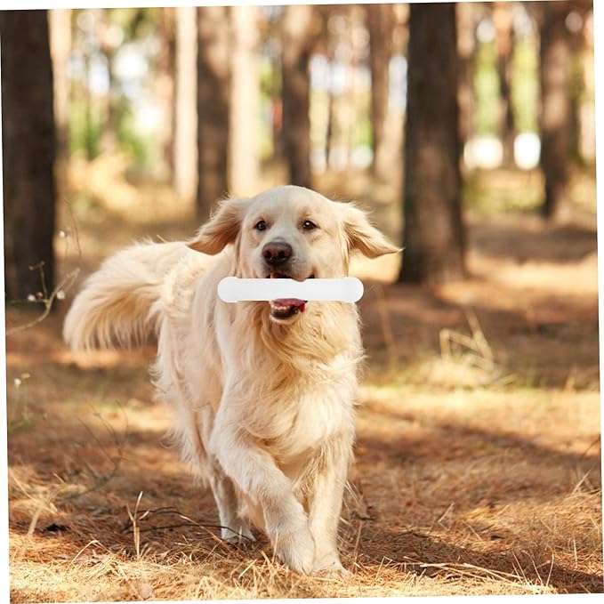 YARNOW Scent Training Stick for Dogs Durable Nose Work Tool for Scent Detection Easy to Use and Adaptable for All Breeds