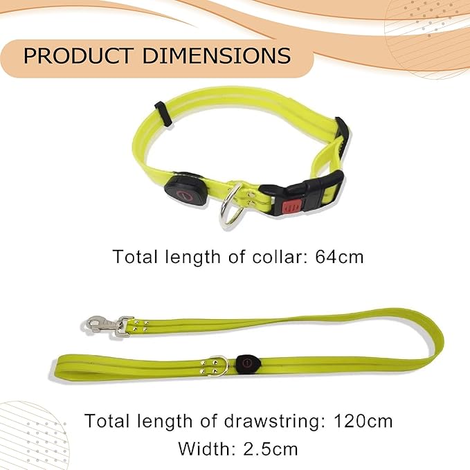 Safety Led Dog Leash for Night Walking - Glow in The Dark - Water Resistant Nylon Webbing - Lightweight and Heavy Duty - USB Rechargeable - RGB Color Changing - Suitable for All Dogs (Black)