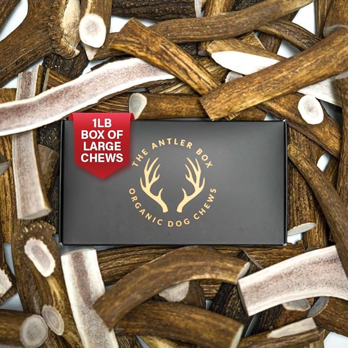 The Antler Box Premium Elk Antler Dog Chews (1 Pound Box) (Large (3 Pieces) Split Only)