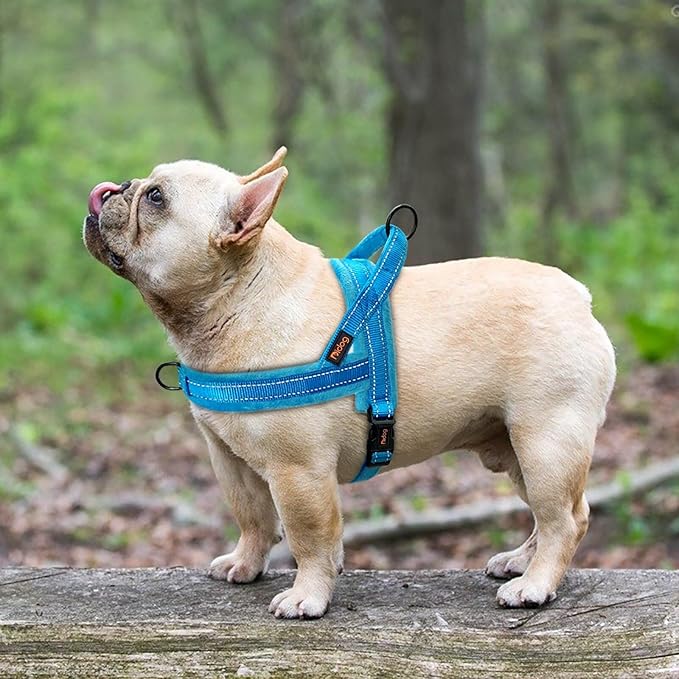 Didog Soft Flannel Padded Dog Vest Harness, No Pull/Quick Fit Reflective Dog Strap Harness, Easy for Training Walking (L:Chest 26-32", Blue)