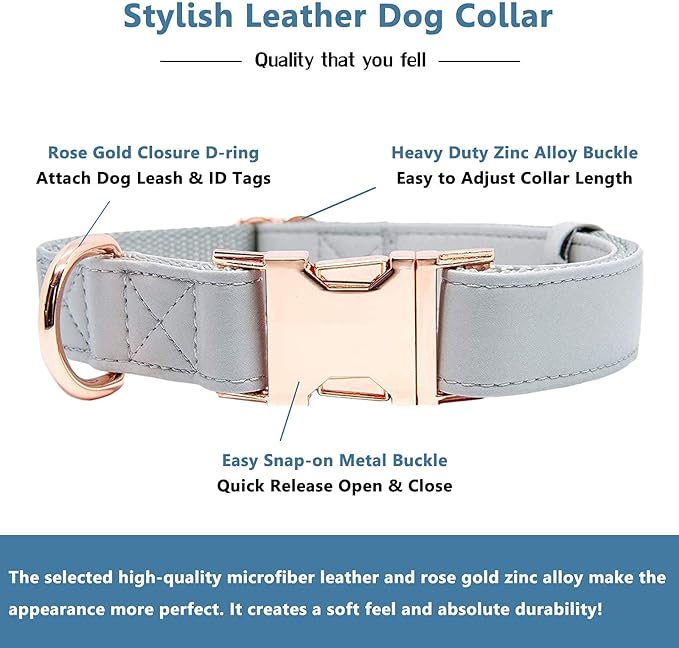 Soft Leather Dog Collar and Leash (6.6') Set - Stylish Rose Gold Heavy Duty Metal Buckle, 4 Adjustable Lengths Leash for Small Medium Large Dogs - Comfortable & Easy to Clean Grey XS(8"-12")