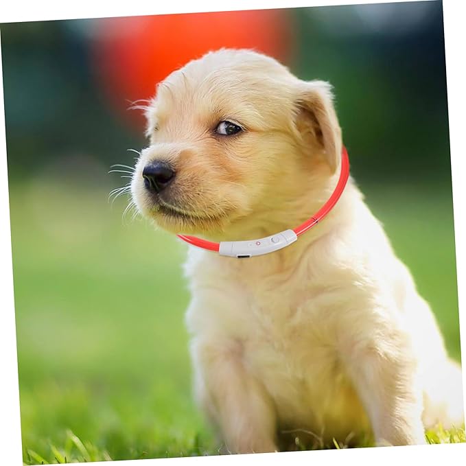 KESYOO Led Dog Collar USB Rechargeable Glow Collar for Dogs Night Safety Pet Supply Clip