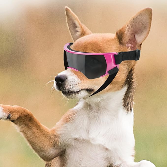 PETLESO Small Dog Goggles, Anti-UV Dog Sunglasses for Outdoor Driving Cycling Riding Hiking, Windproof Dustproof Snowproof Eye Protection, Pet Eye Wear with Adjustable Strap, Pink