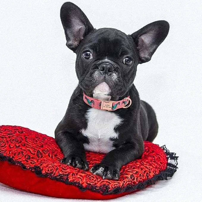 Personalized Dog Collar Custom Puppy Pet Collar Pitbull Collars Pets Acessorios Products Small Dog Collar for Medium Large Pet Pink L