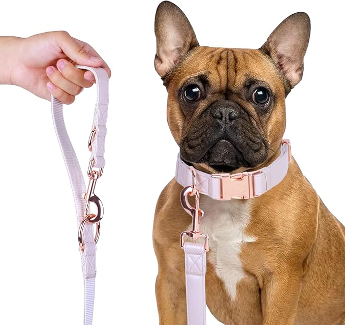 Soft Leather Dog Collar and Leash (6.6') Set - Stylish Rose Gold Heavy Duty Metal Buckle, 4 Adjustable Lengths Leash for Small Medium Large Dogs - Comfortable & Easy to Clean L(15.4"-24.8"), Gold Pink