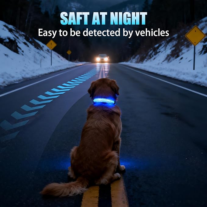 LED AirTag Dog Collar - Brightest Light Up Dog Collars - IP68 Waterproof Air Tag Dog Collar Holder - 1,600 Feet of High Visibility - Magnetic Charging - Dog Lights for Night Walking (Daisy, XL)