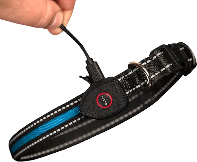 Sherry Kline LED Light-Up Pet Collar - USB Rechargeable - Flashing Glow in The Dark Size Small, Color: Blue