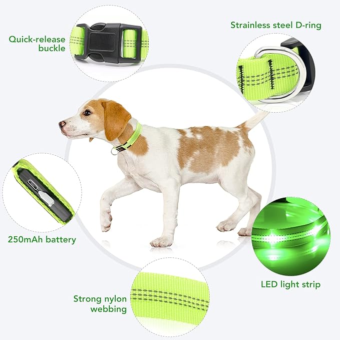 Weesiber Light Up Dog Collars - Rechargeable LED Collar - Reflective Adjustable Dog Lights for Night Walking (Green, Small)
