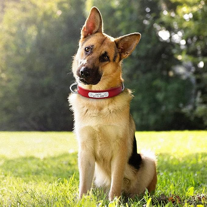 Large Durable Personalized Dog Collar PU Leather Padded Pet ID Collars Customized for Small Medium Large Dogs Cat 4 Size Red M