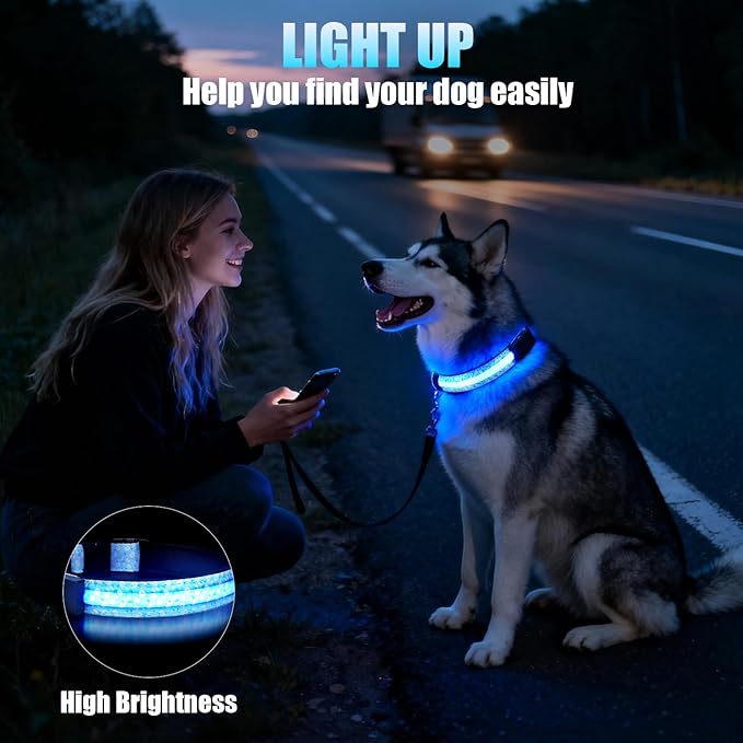 LED Dog Collar - Brightest Light Up Dog Collars - 1,600 Feet of High Visibility - Magnetic Charging - Dog Lights for Night Walking, Daisy Large