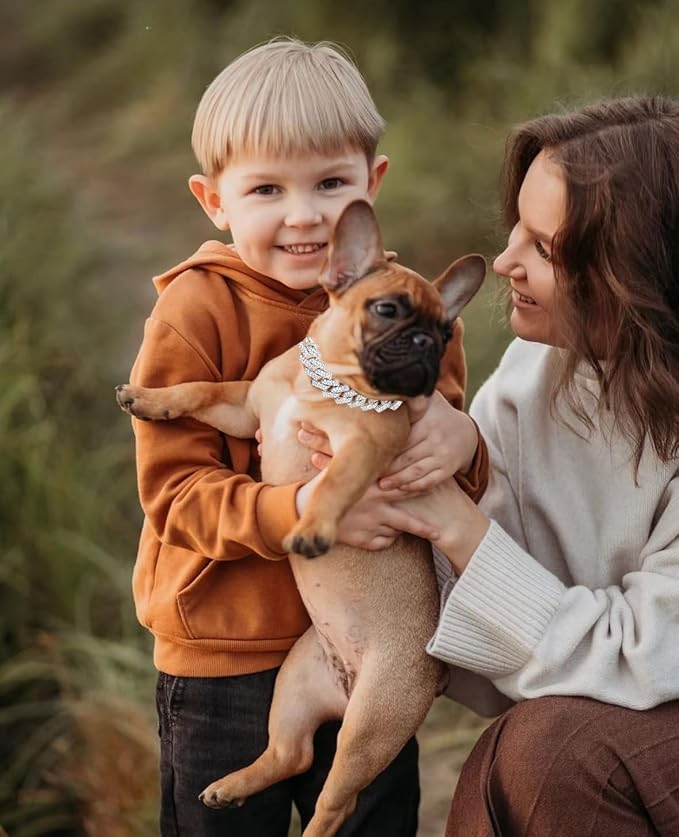 Silver Dog Chain Collar Rhinestone Bling Glitter Metal Cat Necklaces Diamond Cuban Link Puppy Collar, Pet Jewelry for XXS XS Small Medium Large Dogs Cats(Silver 8inch)