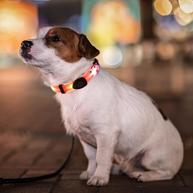Light Up LED Dog Collar - Rechargeable Pet Necklace Accessory, Adjustable Luminous Collar,PVC Rubber Coated LED Dog Collarr Specification | Lighted Outdoor Protectionfor Small,Medium and Large Breeds