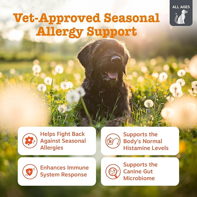 Zesty Paws Vet Strength Dog Allergy Relief Chews, Dog Probiotics for Itchy Skin and Ears, Smoked Cheese, 90ct