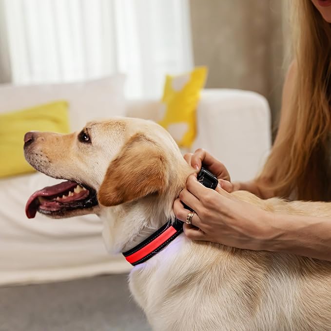 Glowing Dog Collars for Large Dogs, Glow Dog Collars Rechargeable, Flashing Dog Collars for Dark, Waterproof Led Light Up Collar (Red, Pack of 1, L)