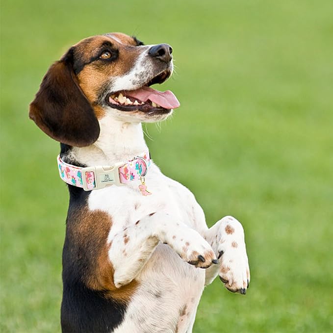 Lionheart glory Dog Collar Dinosaurs Pattern Cute Collar for Large Dogs Spring Summer Female or Male Collars Pets Gift Adjustable Heavy-Duty Pet Collars