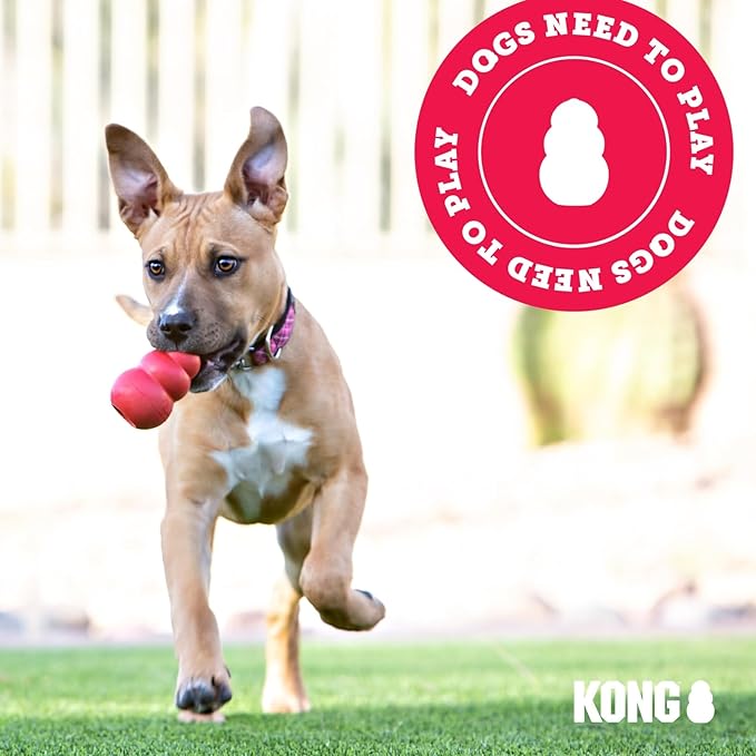 KONG Puppy Activity Ball - Soft & Durable Natural Puppy Rubber Dog Toy - Chew Toy for Teething Puppies - Eases Aching Teeth & Gums - for Small Puppies - Randomly Provided Color