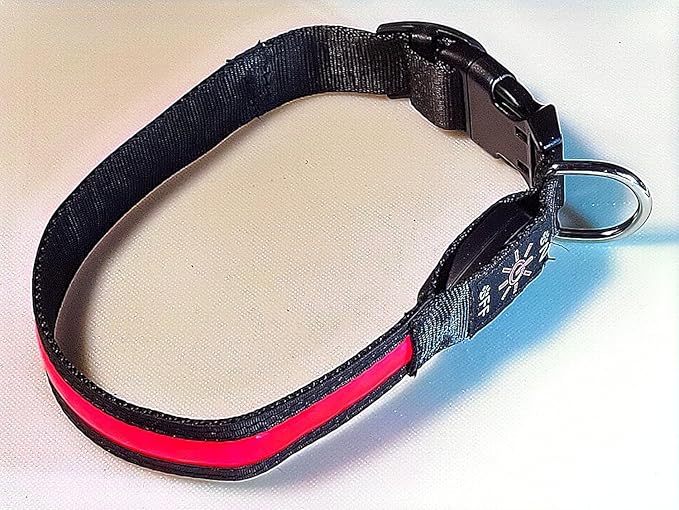Glow Fetch It! HD Ultra Bright LED Safety Dog Collar, Adjustable, USB Rechargeable with 3 Modes, Water Resistant, Extremely Durable and Easy to Clean (Red, Medium)