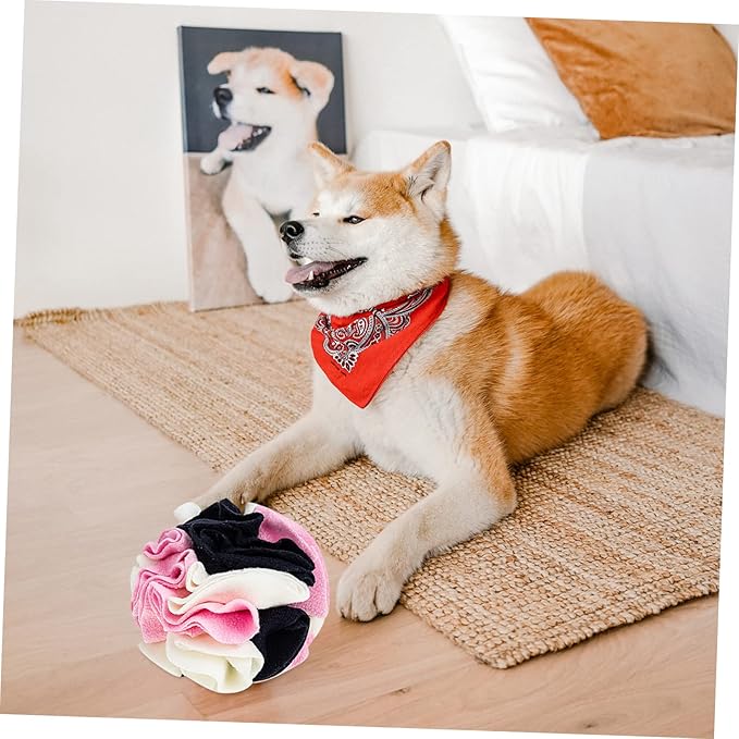 Pet Dog Sniff Toy Snuffle Ball Interactive Puppy Chewing Game Slow Feeder for Curious Dogs