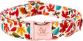 Elegant little tail Fall Dog Collar, Autumn Leaves Pet Collar Durable Dog Collars Male or Female Holiday Pet Gift Adjustable Dog Collar for Small Dogs