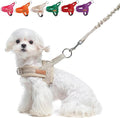 BEAUTYZOO Dog Harness No Pull, Quick Fit Dog Harness and Leash Set, Escape Proof Vest Harness with Soft Handle, Reflective Breathable Mesh Padding Harness for Medium Size Dog Training Walking, Beige M
