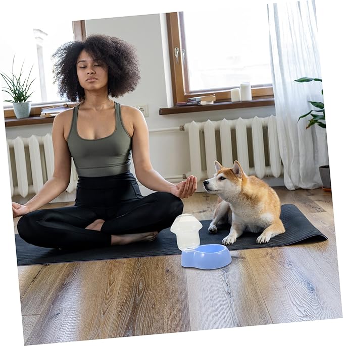 Happyyami Automatic Pet Water Dispenser Transparent Drinking Bowl for Cats and Dogs Durable Plastic Feeder with Bottle Design Lightweight and Portable for Home Travel