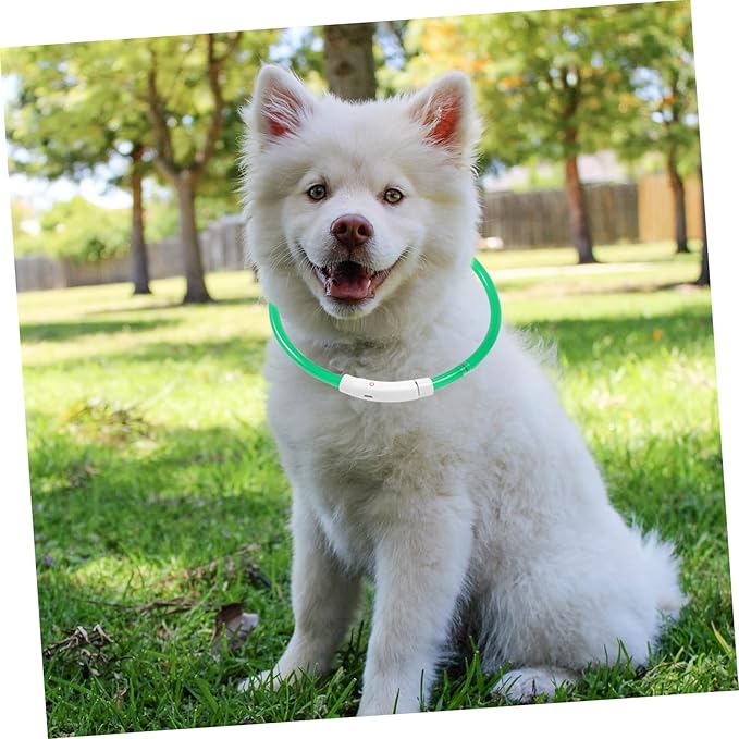 Sosoport Led Dog Collar USB Charging Fashionable Pet Accessory Night Visibility Collar