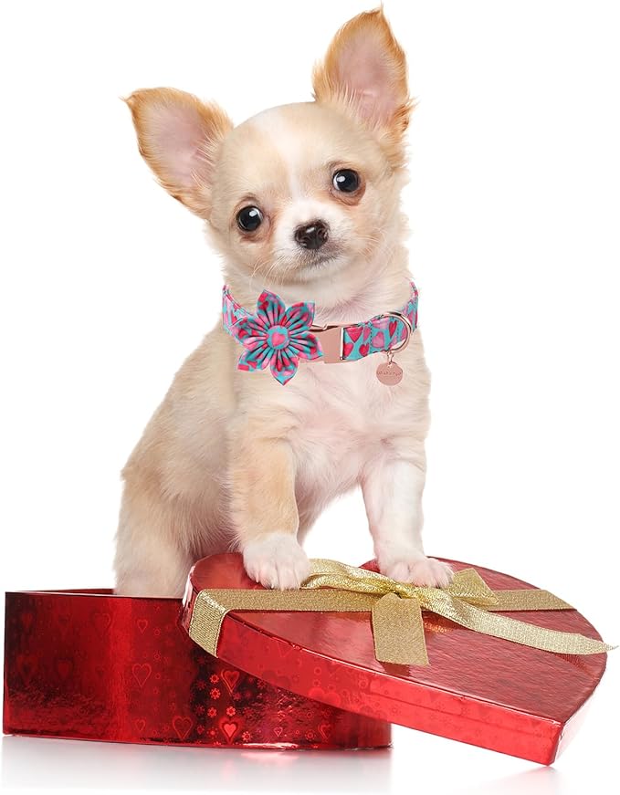 Valentine Dog Collar with Flower, Heart Flower Collar for Puppy Girl Boy Dog or Cat, Comfortable Dog Collar Flower with Durable Metal Buckle, Cute Pet Collar, XS, Neck 8-12in