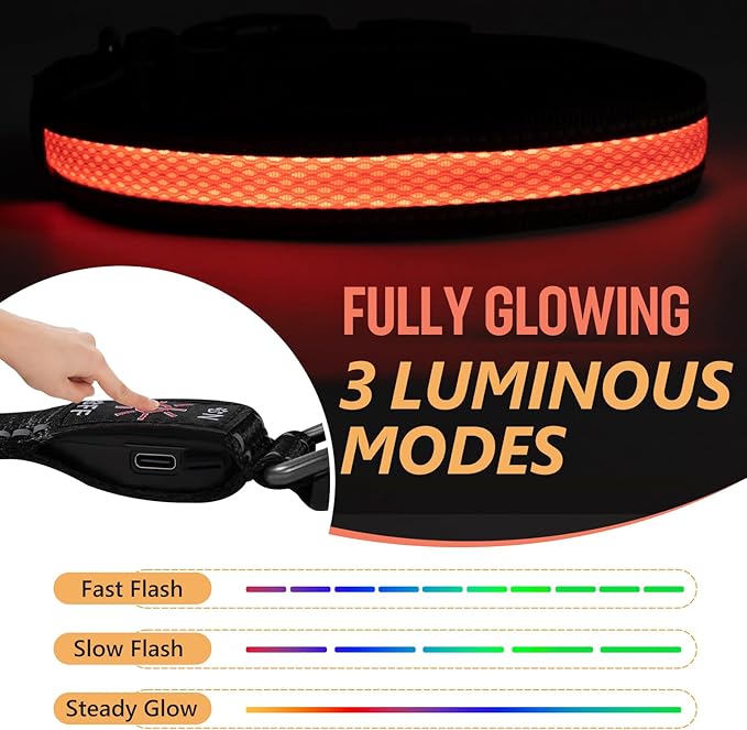 Led Dog Collar Rechargeable, Lighted Dog Collars for Night, Dog Collar Glow in The Dark Waterproof, Adjustable Light Up Collar for Small Dogs (Orange, Pack of 1, S)