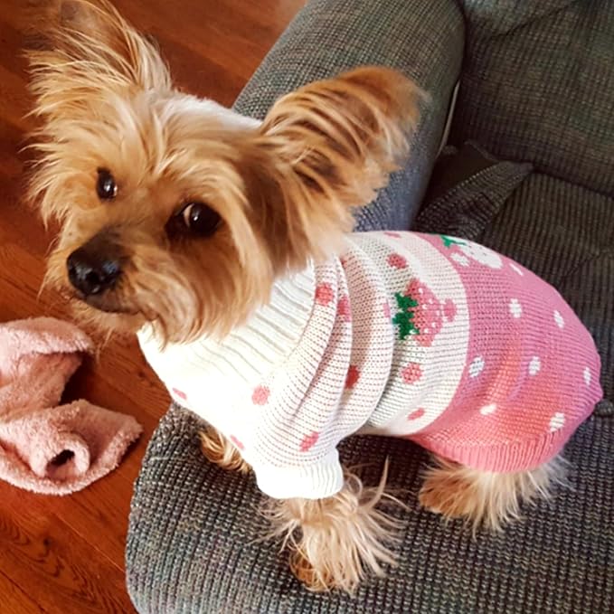 CHBORCHICEN Pet Dog Sweaters Classic Knitwear Turtleneck Winter Warm Puppy Clothing Cute Strawberry and Heart Doggie Sweater (Pink, X-Small)