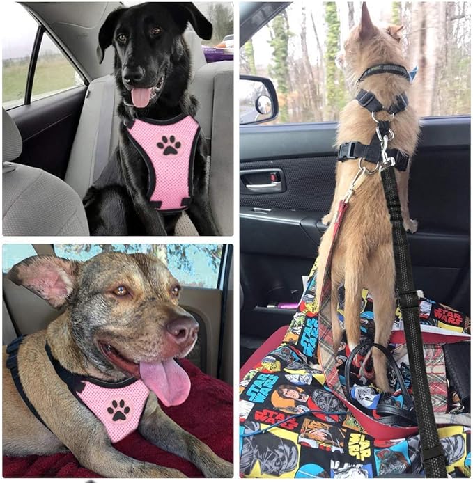 SlowTon Dog Seat Belt Harness for Car, Dog Car Harness Adjustable Mesh Breathable & Dog Seatbelt Safety Tether with Elastic Bungee for Small Medium Large Pets (Pink, Single Clip, XXS)