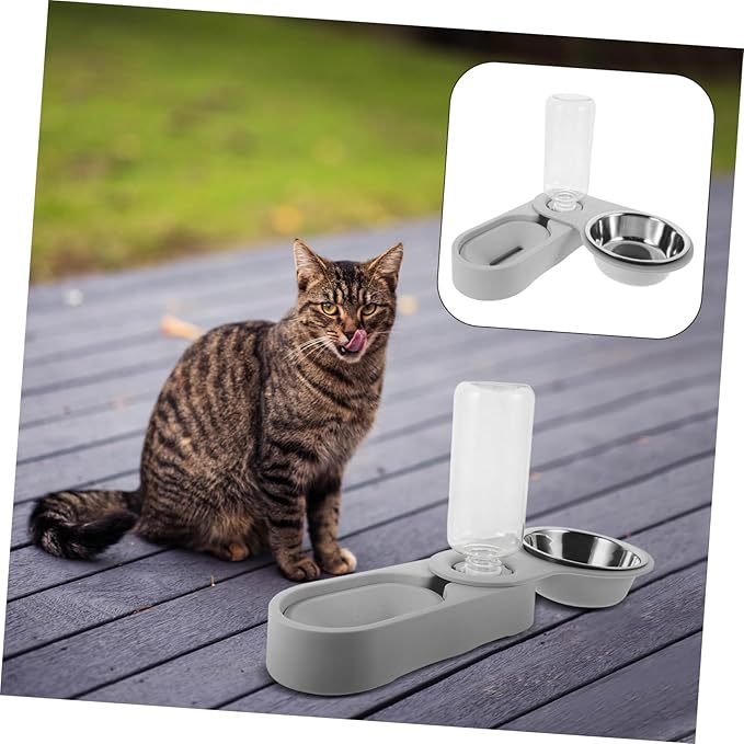 Timed Cat Feeder Automatic Water Dispenser Double Stainless Steel Bowl Pet Supply for Busy Pet Parents