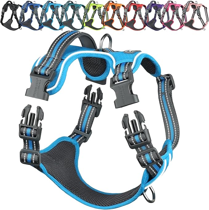 VIVAGLORY Dog Harness Easewalk No Pull Dog Harness with Handle Front Clip & Back Clip for Training Walking Lifting, No Pull Adjustable Easy On Padded Comfortable for Pet, XL, Sky Blue - Patterned