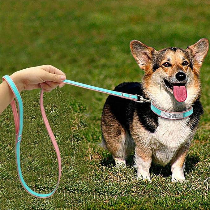 Personalized Dog Collar and Leash Padded Adjustable Customized Pet Collars and Leashes for Small Medium Dogs Cats Chihuahua Blue S