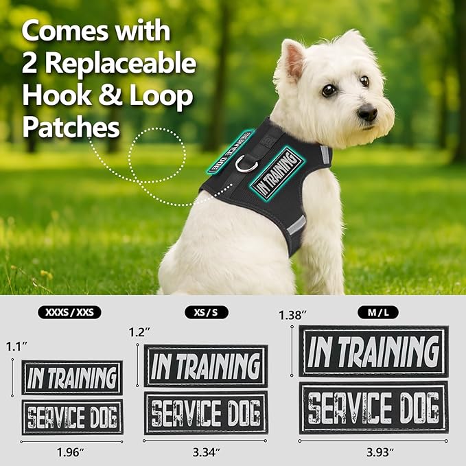 Dog Harness for Puppy – Adjustable Reflective Easy Put On Soft Mesh Vest for Small Dogs with 2 Patches (Black,XXXS)
