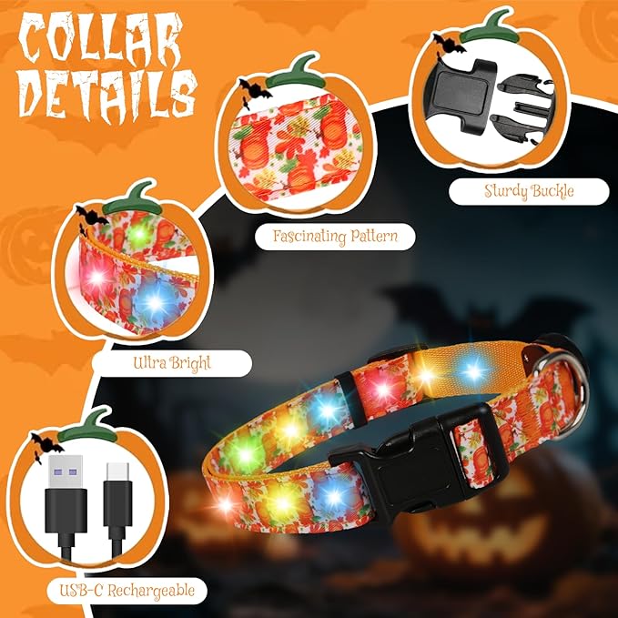 Halloween Light Up Dog Collar, LED Dog Collar Glow in The Dark - USBC Rechargeable, 3 Flashing Modes, Fashionable Cute Glowing Dog Light Up Collars for Medium Large Dogs, L