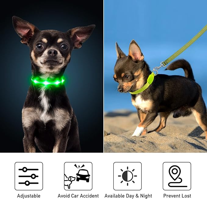 Light Up Dog Collars for Small Medium Large Dogs, Adjustable LED Dog Collar, Rechargeable Soft Glow Collar for Dog Cat Night Walking, Green