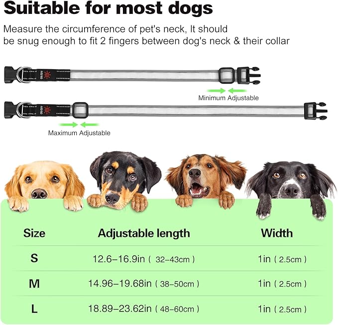 Light Up Dog Collar, Multicolor LED Dog Collar with 7 Lighting Modes - USB-C Rechargeable, Real-Time Battery Indicator, Waterproof & Adjustable Glow Collar for Safe Night Walks (S)