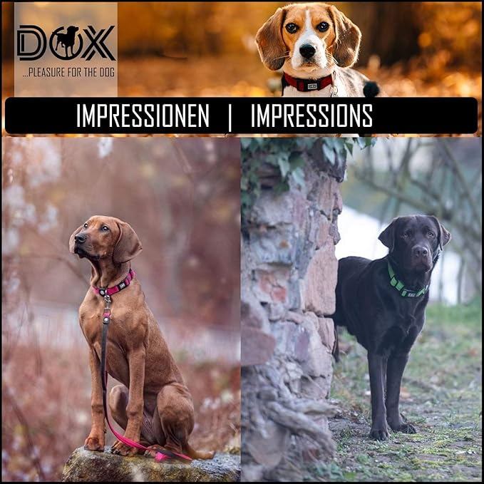 DDOXX Airmesh Dog Collar - Strong and Adjustable Collars Dogs - Medium (Black)