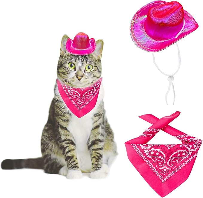 Dog and Cat Cowboy Hat With Bandana Scarf - Mini Pet Costume for Holiday, Halloween, Party Decoration (Rose Red-Style2, Small)
