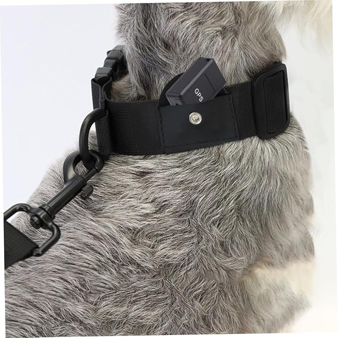 Generic 2Pcs Adjustable Dog Protective Collar with Buckle Comfortable Pet Positioning Collar for Dogs Anti-Lost Safety Gear for Outdoor Use