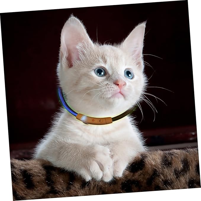 Hemoton Glowing Pet Collar Led Puppy Collar USB Charge for Dog for Pet Accessories