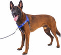 Freedom No Pull Dog Harness for Large Dogs, Easy Walker, Anti Pull with Two Stainless D-Rings, Comfortable, Sewn-in Instructions Tags for Easy Use (Blue, XL)
