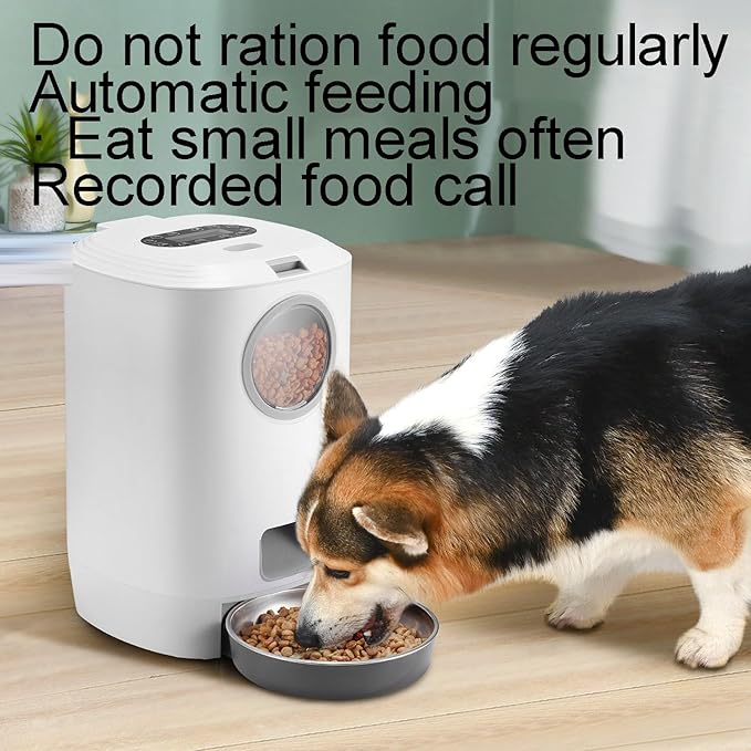 Automatic Pet Feeder with Stainless Steel Food Bowl, Dual Power Supply, Intelligent Timed Ration Feeding, Suitable for Cats and Dogs